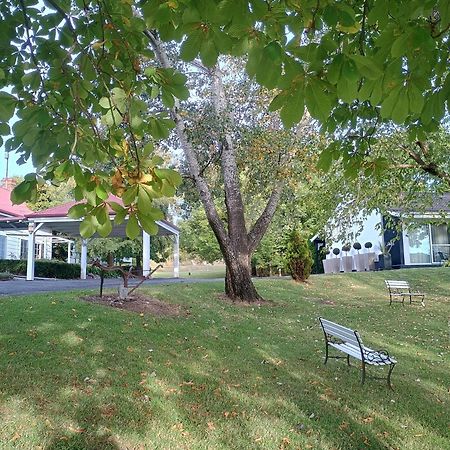 Moore Park Inn Armidale Dış mekan fotoğraf