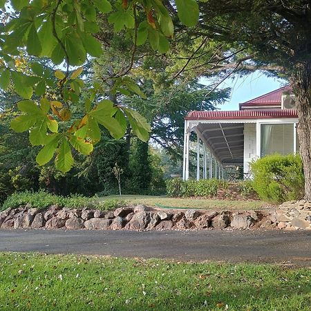 Moore Park Inn Armidale Dış mekan fotoğraf