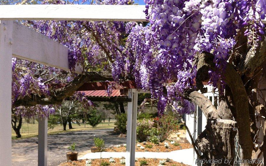 Moore Park Inn Armidale Dış mekan fotoğraf