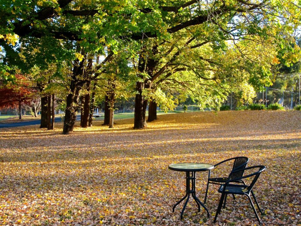 Moore Park Inn Armidale Dış mekan fotoğraf