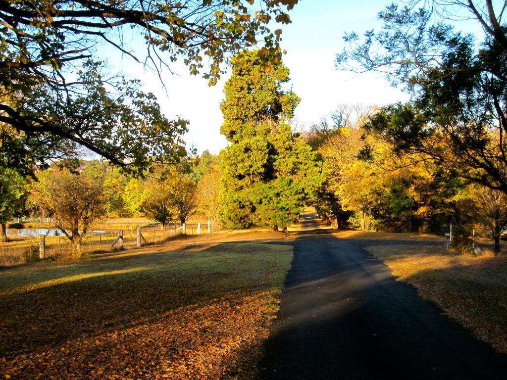 Moore Park Inn Armidale Dış mekan fotoğraf