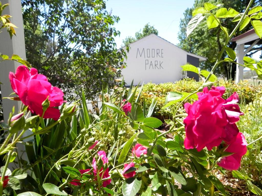 Moore Park Inn Armidale Dış mekan fotoğraf